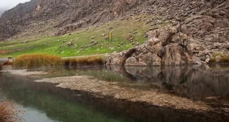 تالاب هشیلان در آستانه ثبت در کنوانسیون رامسر تالاب هشیلان در آستانه ثبت در کنوانسیون رامسر