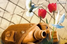 مهم ترین کار کنگره شهدا، شناساندن شهدای کمتر شناخته شده است