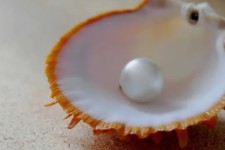 اهميت حيا و آثار ارزشمند آن