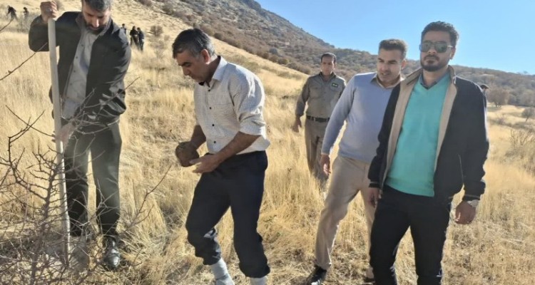 کاشت ۱۲۸۳ نهال بلوط در اسلام آبادغر