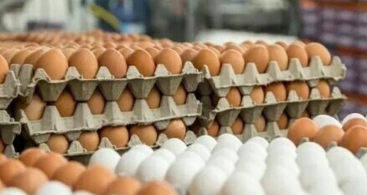 چالش افزایش قیمت تخم‌ مرغ در اسلام‌آبادغرب