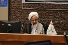 شیعه و سنی در کنار هم منشاء بیداری جهانی شده‌اند