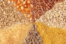 توزیع ۳۵ هزار تن نهاده در کرمانشاه