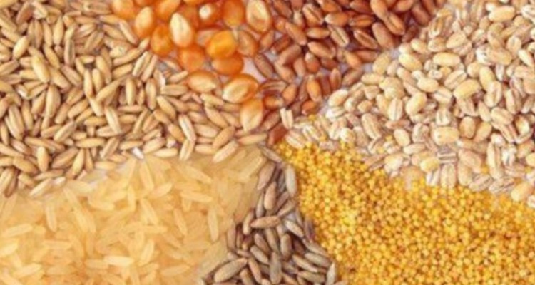 توزیع ۳۵ هزار تن نهاده در کرمانشاه