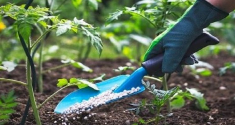 ۱۰ درصد کود‌های کشاورزی وارداتی است