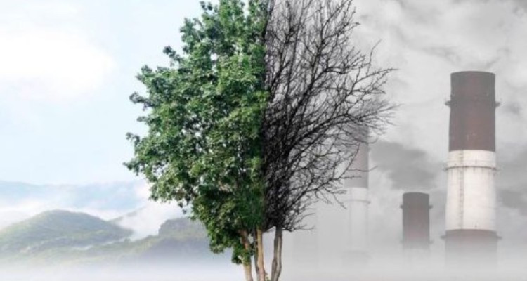 لزوم رفع مشکلات زیست‌محیطی در اسلام‌آبادغرب