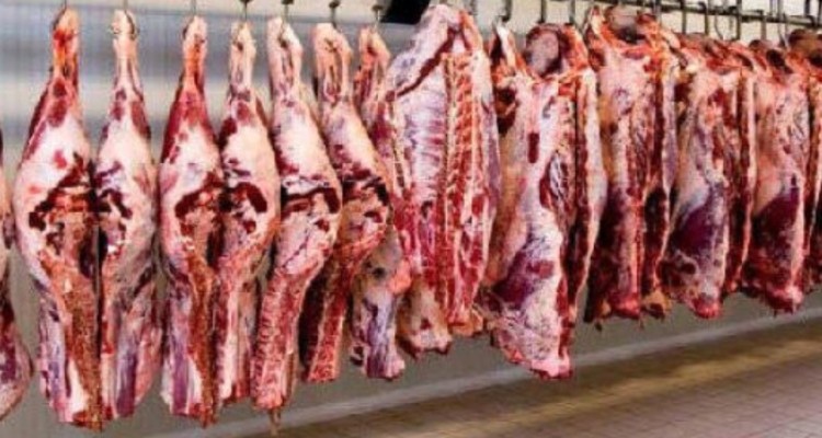 فعالیت ۳۰ کارخانه خوراک دام در کرمانشاه