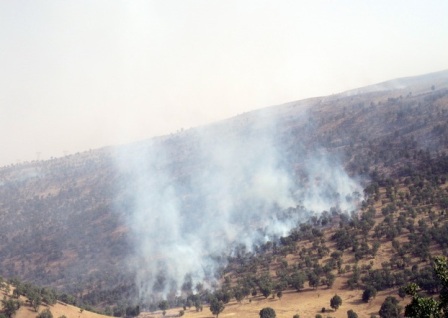 مهار آتش سوزی جنگل های جنوبی اسلام آبادغرب پس از 7 ساعت جدال با آتش/ سوختن 5 هکتار از جنگل های انجیرک