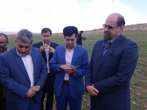 اشتغال مستقیم  250 نفر با ایجاد گلخانه هیدرو پونیک در اسلام آباد غرب