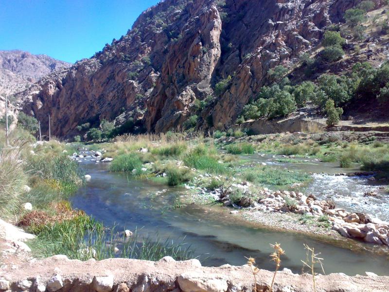 محرومیت یک روستا دستاویز توهین یک مسئول به ولی نعمتان خود در اسلام آباد غرب محرومیت یک روستا دستاویز توهین یک مسئول به ولی نعمتان خود در اسلام آباد غرب