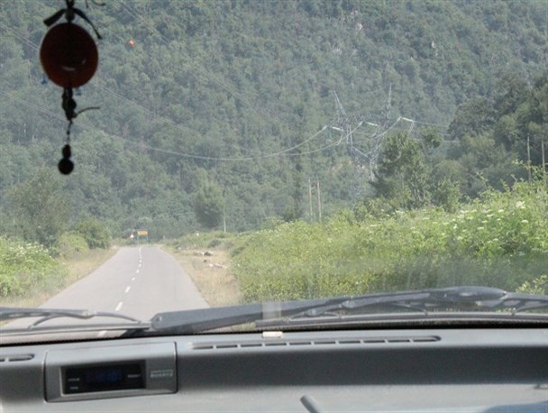 داستان خواندنی زندگی زنی که خرس به او و فرزندش حمله کرد