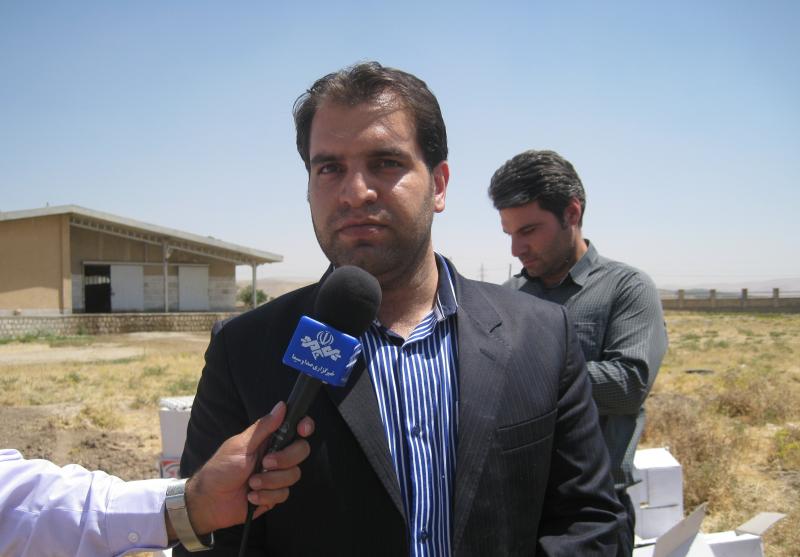 معدوم کردن 8 هزار تخم مرغ آلوده در اسلام آبادغرب