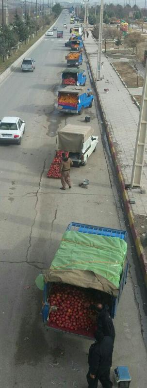 عکس/صف طویل میوه فروشان در ورودی شهر اسلام آبادغرب 