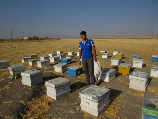 اسلام آبادغرب این بار سنگر مقاومت اقتصادی شد/ وقتی درآمد حلال نیش زنبورها را هم لذت بخش می کند