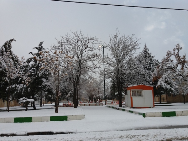 بارش برف بازهم  اسلام آبادغرب را سفیدپوش کرد+ تصاویر