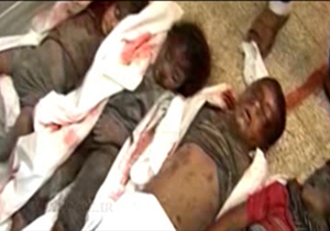 آدرس غلط به سمت داعش + فیلم 