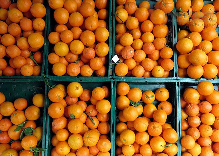واردات پرتقال شب عید ضروری است 