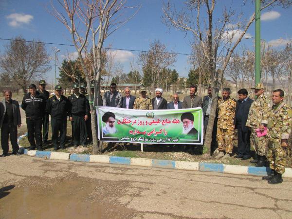 کاشت 8500 اصله نهال توسط نیروهای تیپ181 زرهی ارتش اسلام آبادغرب
