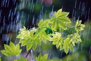 تداوم بارش‌ها در کرمانشاه تا روز پنجشنبه/موج دوم بارندگی‌ از جمعه