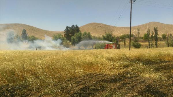 مهار آتش سوزی در گندمزارهای بخش حمیل/ حریق یک هکتار گندم و مرتع منطقه