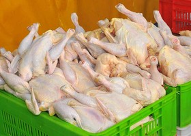 افزایش قیمت مرغ در آستانه عید فطر 
