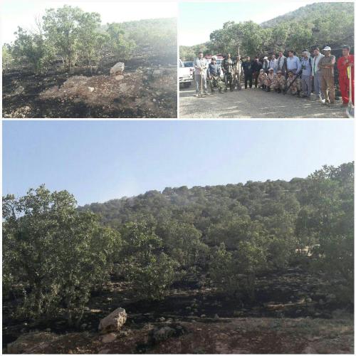 مهار آتش سوزی جنگل های جنوبی اسلام آبادغرب با همکاری  نیروهای مردمی بسیج و سپاه شهرستان/سوختن کمتر از 1هکتار از مراتع گلال سیاه