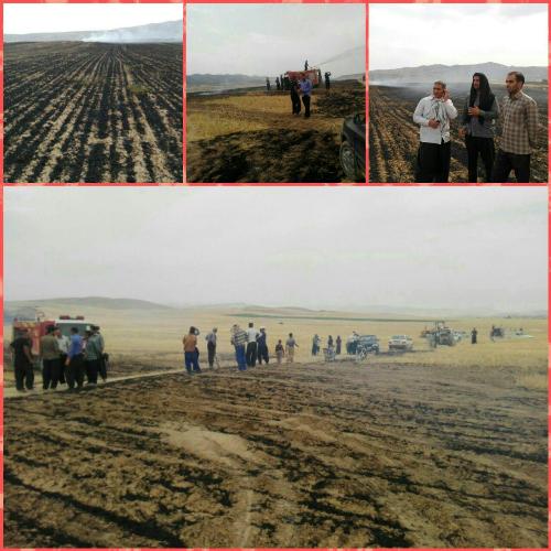 مهار آتش سوزی مزارع روستایی اسلام آبادغرب /حریق ۱۲۰ هکتار جار و ۴۰ هکتار گندم در بخش حمیل+تصاویر