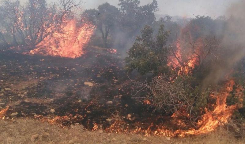 مهار سه باره آتش سوزی در ارتفاعات تنگه مرصاد اسلام آبادغرب/ سوختن 8 هکتار از مراتع و جنگل های منطقه+تصاویر
