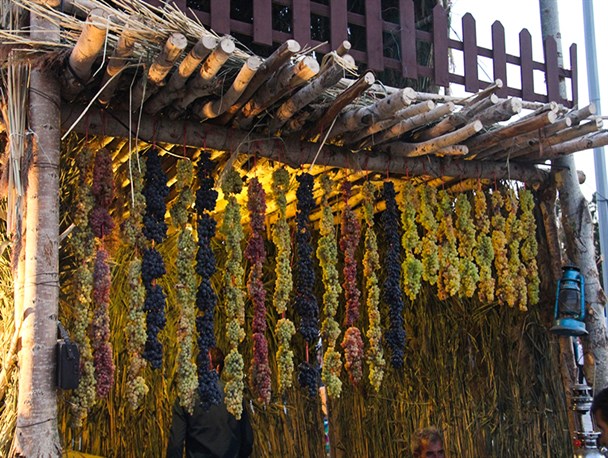  پنجمین جشنواره انگور ارومیه