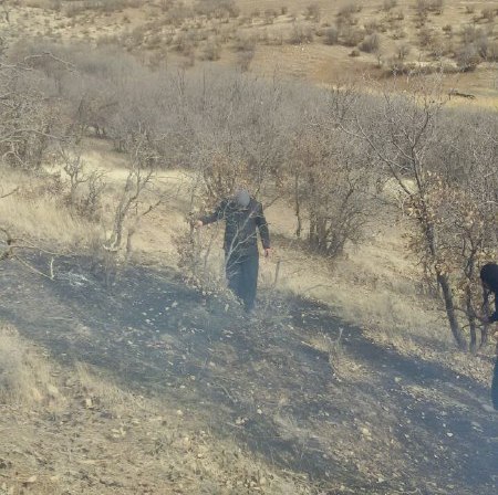 جزئیات مهار آتش سوزی جنگل های حومه شمالی اسلام آبادغرب/ تقدیر دادستان شهرستان از تلاش نیروهای مردمی  +تصاویر