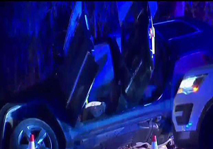 تضاهرات « همه ما بیژن هستیم » در آمریکا + فیلم 