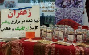 خواهرانی که در روانسر زعفران ارگانیک تولید می کنند