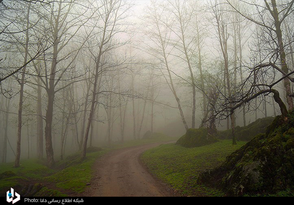 روستای تنیان/تصاویر