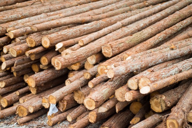 کشف 2 تن چوب جنگلي قاچاق در دالاهو