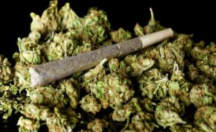 سایه سنگین مخوف‌ترین مخدر دنیا بر سر جوانان کرمانشاهی/توهم‌هایی از جنس «گُل»