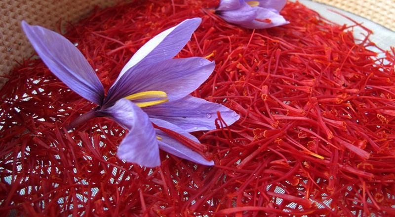 قاچاق زعفران ایرانی به افغانستان!/ مشکل صادرکنندگان زعفران چیست؟