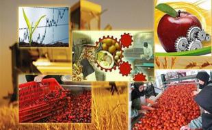 احداث ۱۱ واحد صنایع تبدیلی و تکمیلی بخش کشاورزی در کرمانشاه