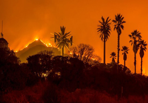 مفقودان آتش‌سوزی مرگبار کالیفرنیا به ۲۲۸ تن رسید 