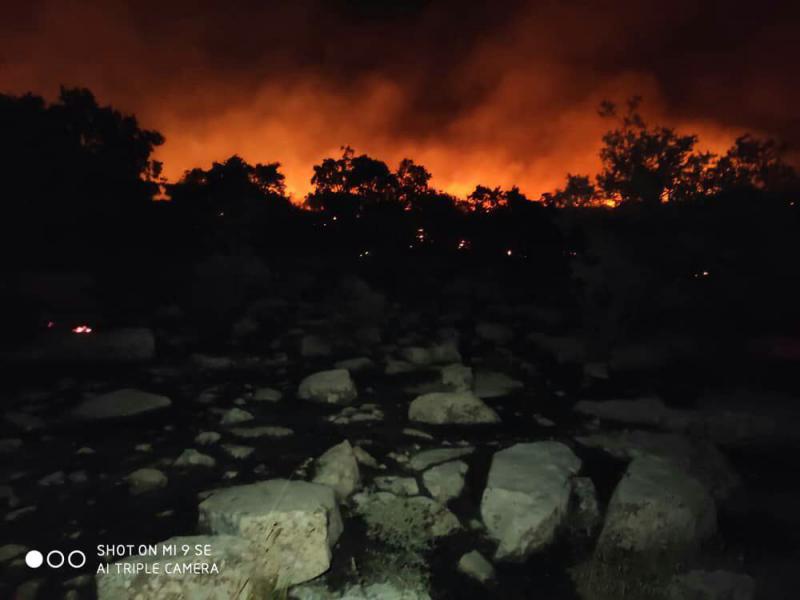 مهار آتش سوزی ارتفاعات منطقه دیزگران اسلام آبادغرب+تصاویر
