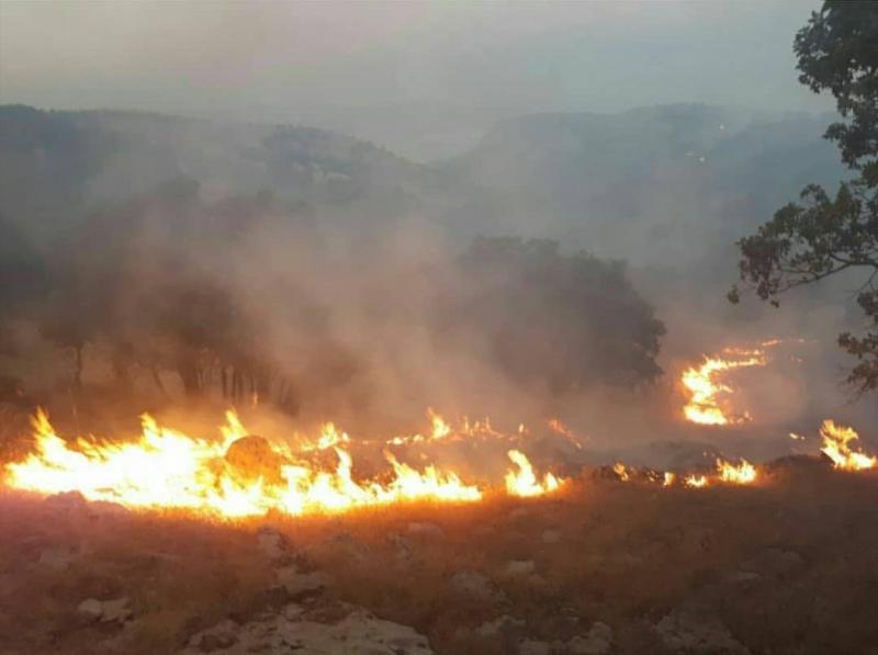 نیروهای ستاد مدیریت بحران شهرستان دالاهو همچنان در آماده باش کامل قرار دارند/احتمال شعله ور شدن مجدد نواکوه