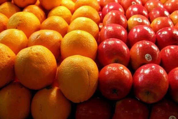 تولید ۱۰۶ هزار تن سیب و پرتقال شب عید در ۱۰۰مرکز