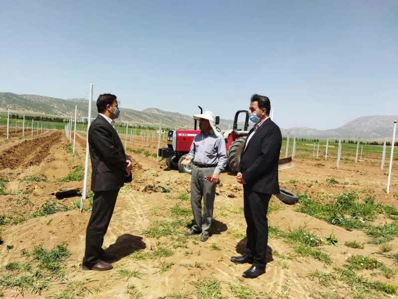 بازدید از پروژهای  اجرا شده و درحال اجرای بخش کشاورزی در شهرستان اسلام آبادغرب
