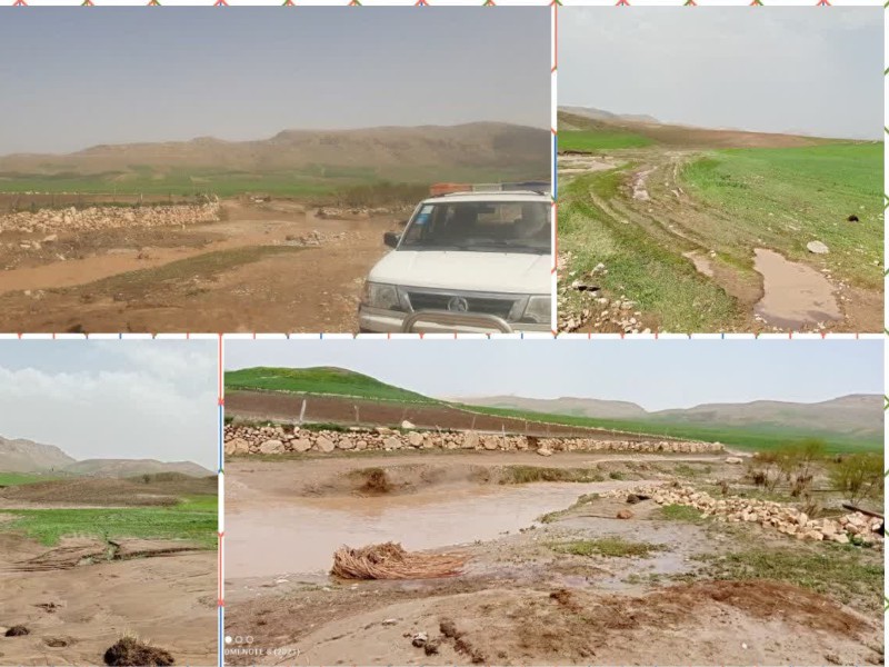 خسارت ۳۸ میلیارد تومانی سیل به مزارع و باغ‌های اسلام‌آبادغرب