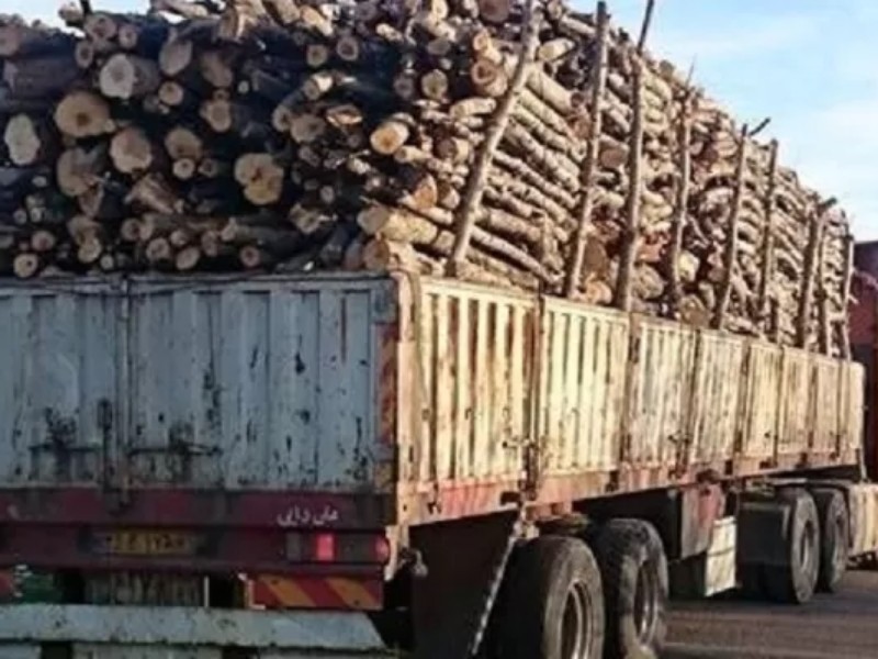 توقيف محموله چوب قاچاق در اسلام آبادغرب