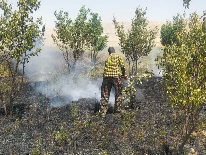 مهار آتش‌سوزی باغ میوه در بخش حمیل+عکس
