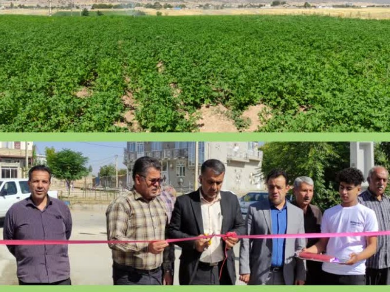 افتتاح ۶ طرح عمرانی و کشاورزی در اسلامآبادغرب افتتاح ۶ طرح عمرانی و کشاورزی در اسلامآبادغرب