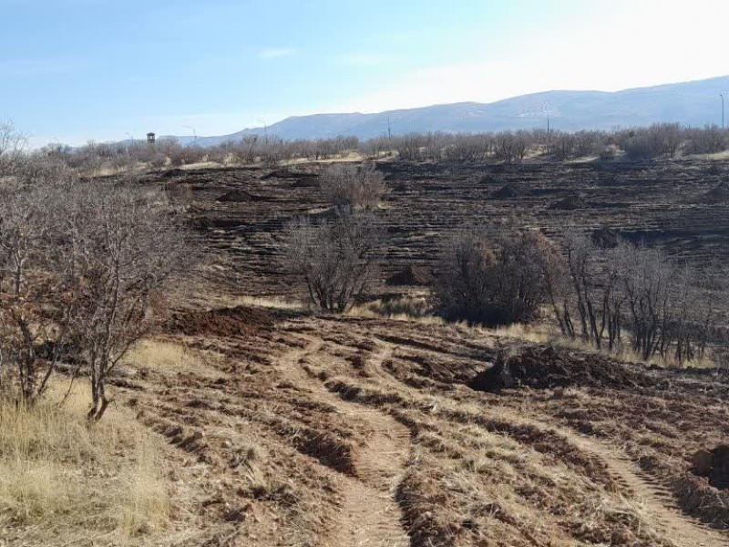 بازپس‌گیری ۱۵ هکتار از اراضی ملی تصرف‌شده در اسلام‌آبادغرب