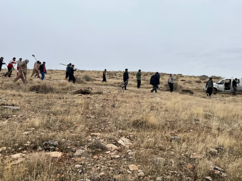 کاشت ۱۰۰۰ نهال بلوط به یاد شهدای اسلام‌آبادغرب