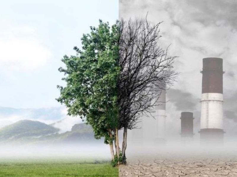 لزوم رفع مشکلات زیست‌محیطی در اسلام‌آبادغرب