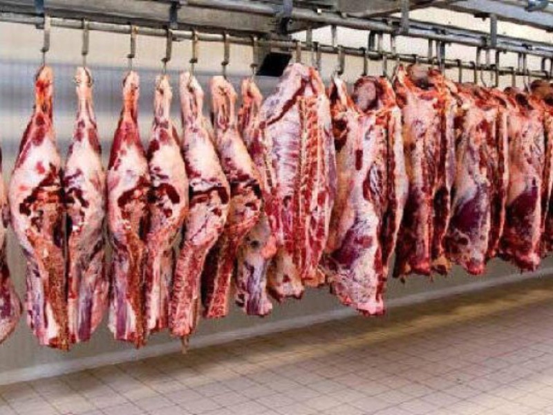 فعالیت ۳۰ کارخانه خوراک دام در کرمانشاه